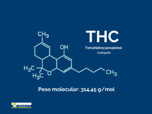Peso molecular del cannabis